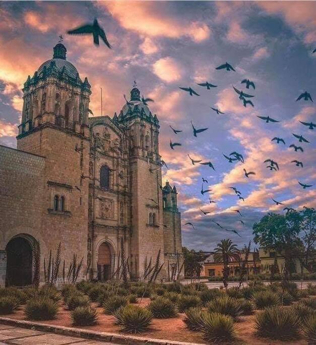 M1010 - The Best Place To Enjoy Oaxaca المظهر الخارجي الصورة