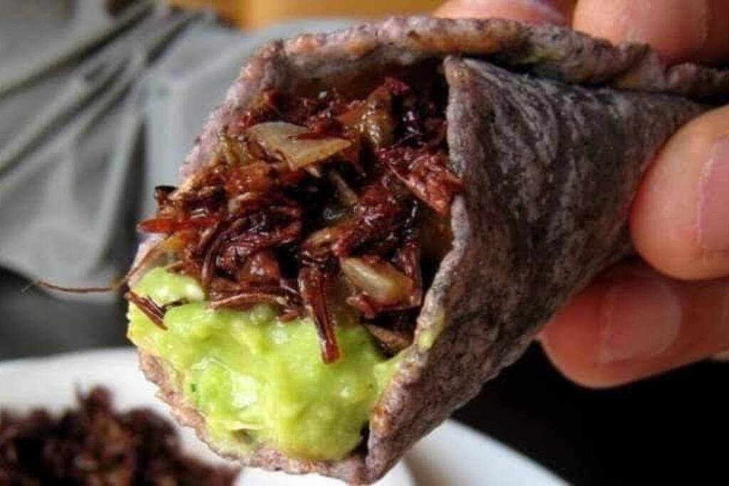 M1010 - The Best Place To Enjoy Oaxaca المظهر الخارجي الصورة
