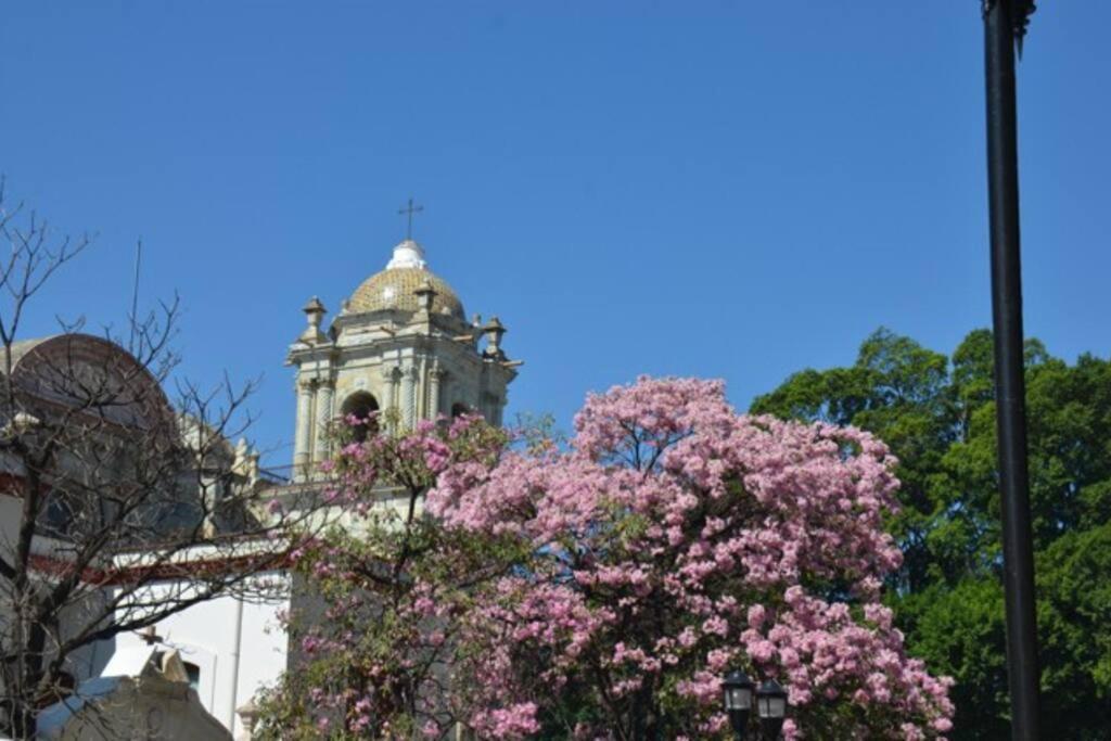 M1010 - The Best Place To Enjoy Oaxaca المظهر الخارجي الصورة
