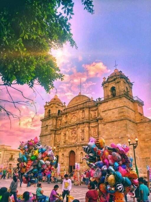 M1010 - The Best Place To Enjoy Oaxaca المظهر الخارجي الصورة