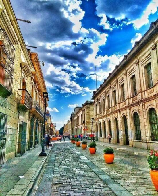M1010 - The Best Place To Enjoy Oaxaca المظهر الخارجي الصورة