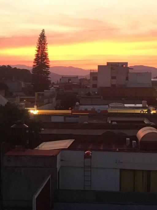 M1010 - The Best Place To Enjoy Oaxaca المظهر الخارجي الصورة